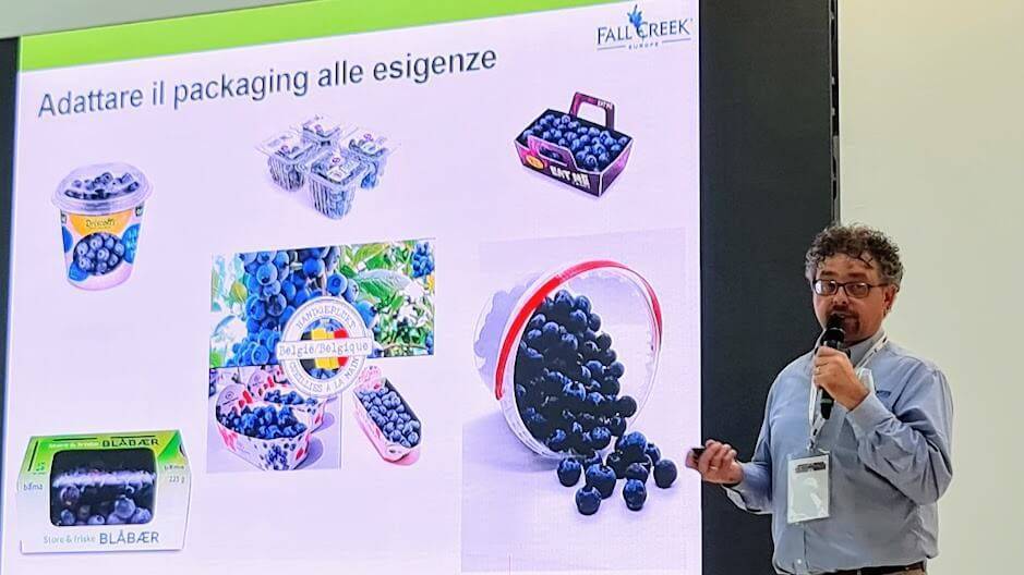 Berry-Italia-2021-2-C|Berry-Italia-2021-C